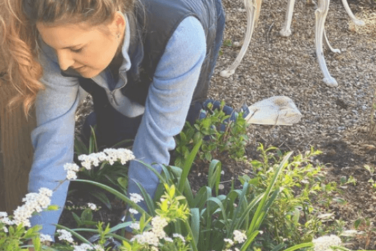 What To Get Done In Your Garden in March For A Delightful Alfresco Summer - armadillosun