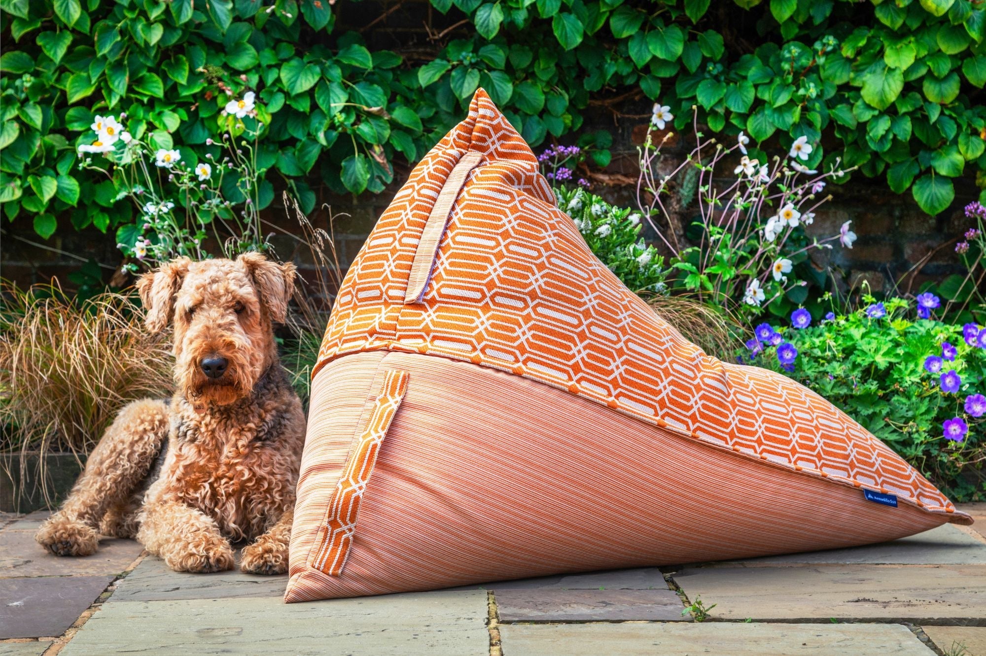 Adult Bean Bag Loungers - armadillosun