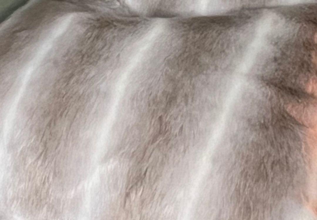 Faux Fur Cushion Cover - Reindeer